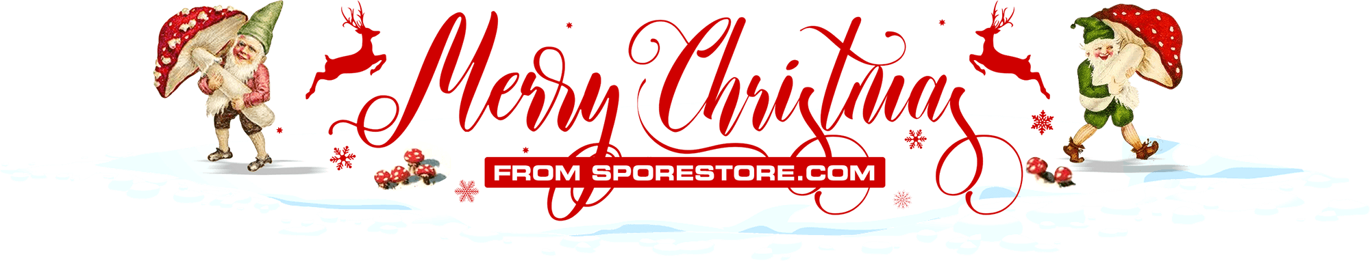 Merry Christmas from SporeStore.com!