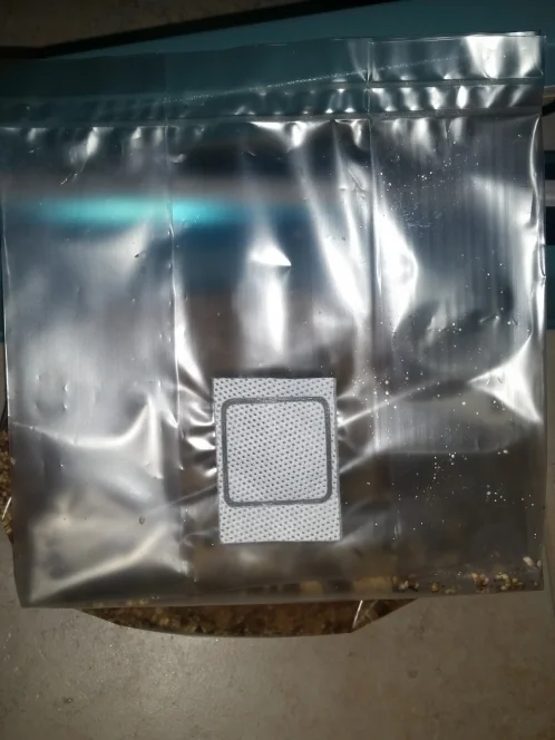Mushroom Grow Bags - Image 5